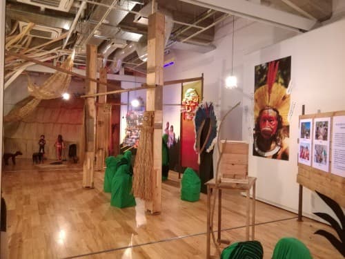 熱帯森林保護団体30周年「どこいくの」展
