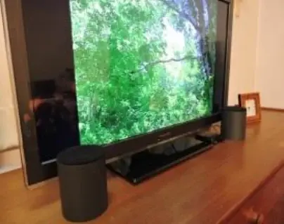 テレビの前に、スピーカーを立てて置いた設置例