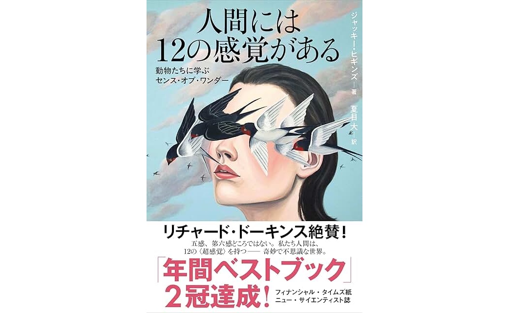人間には12の感覚がある　SENTIENT