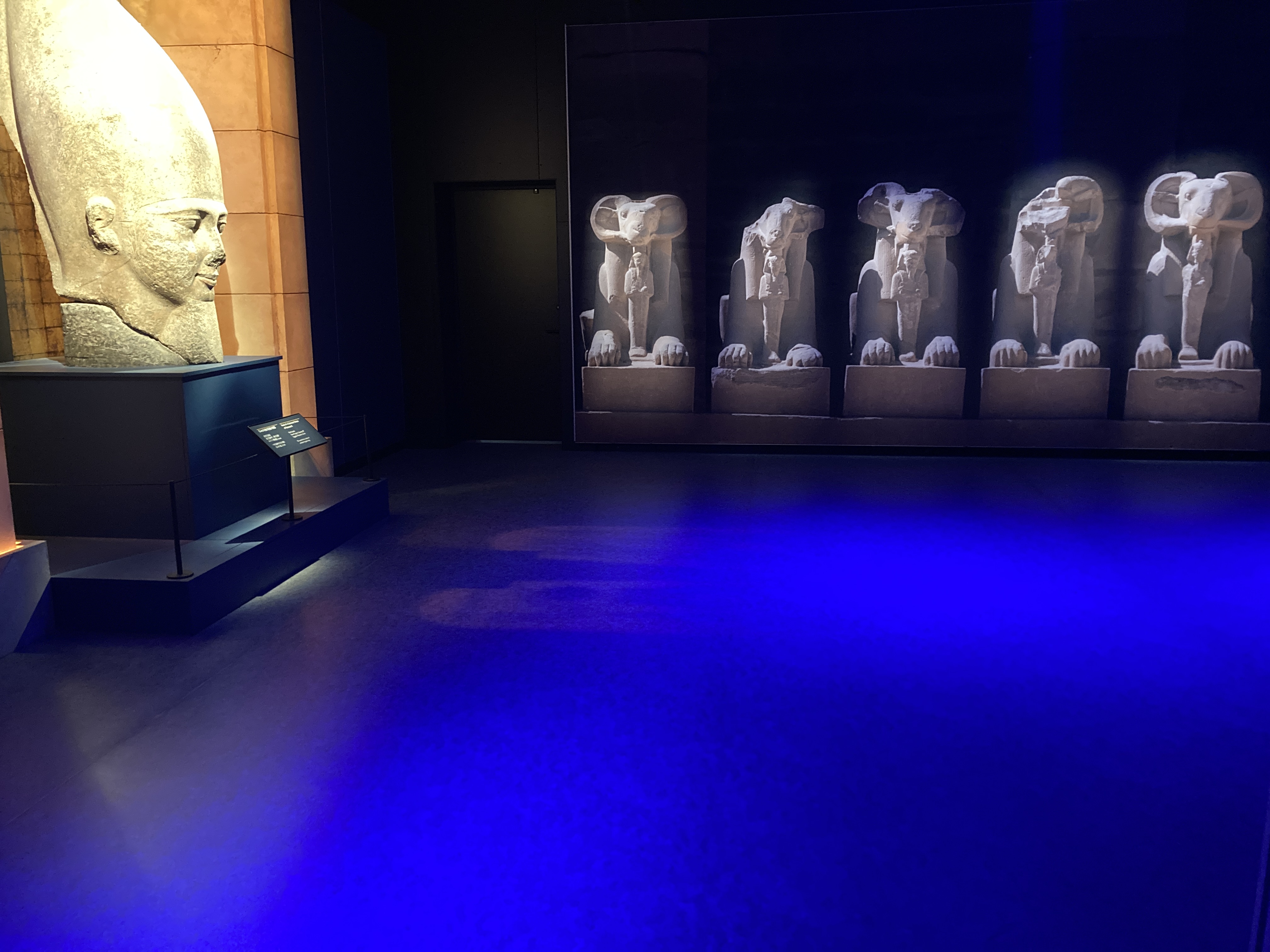 ラムセス大王展　豊洲に行ってきた