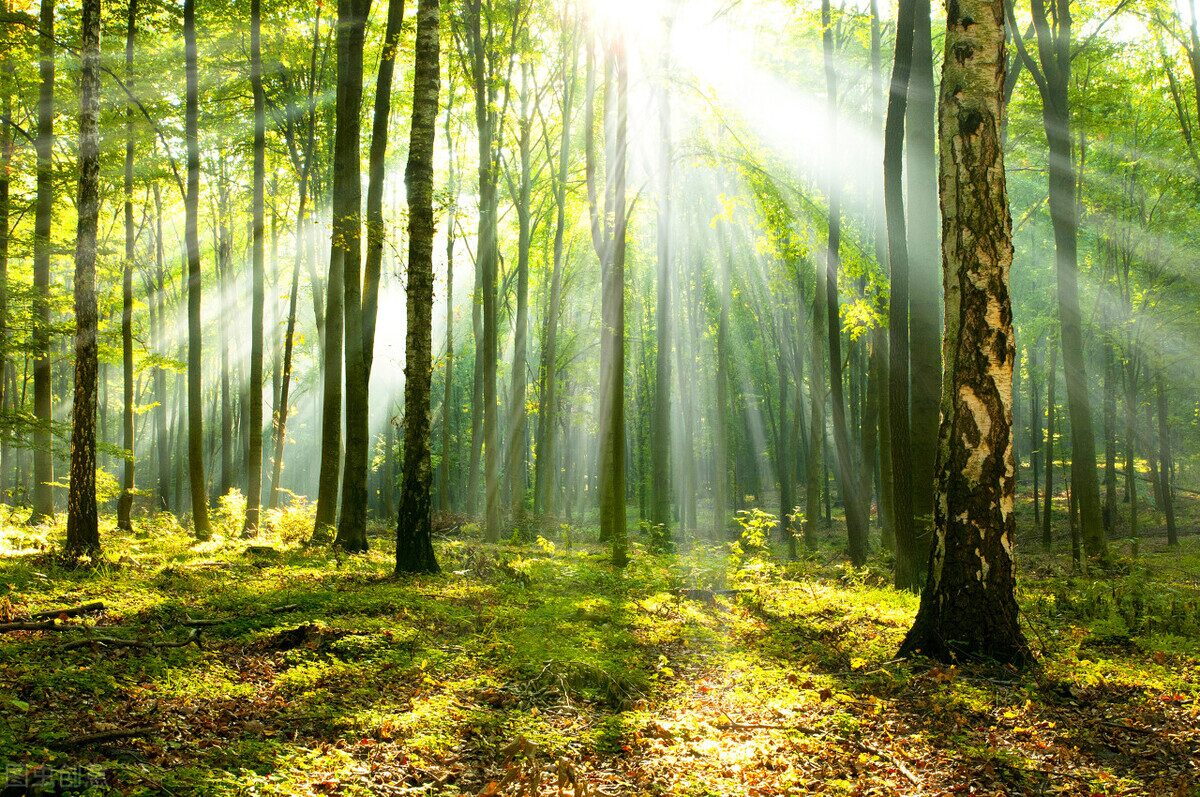 「音が整った日常とは」QOLなスピーカー