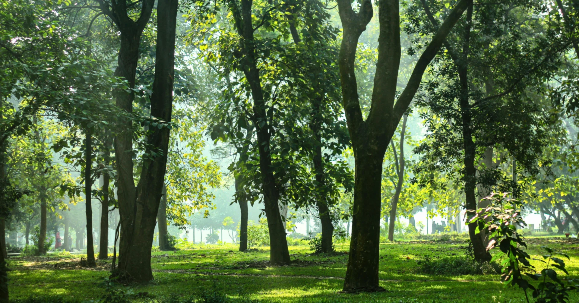 なぜ今、エムズシステムは「音環境」を掲げたのか